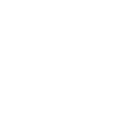 Stella Rising logo